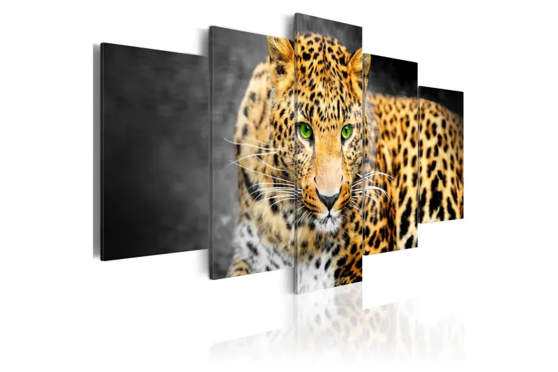 Tavla Green-Eyed Leopard 100x50 - Artgeist sp. z o. o. — Artgeist sp. z o. o.