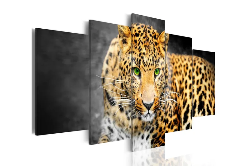 Tavla Green-Eyed Leopard 200x100 - Artgeist sp. z o. o. — Artgeist sp. z o. o.