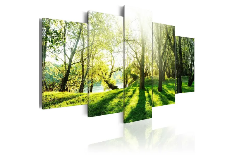 Tavla Green Glade 100x50 - Artgeist sp. z o. o. — Artgeist sp. z o. o.