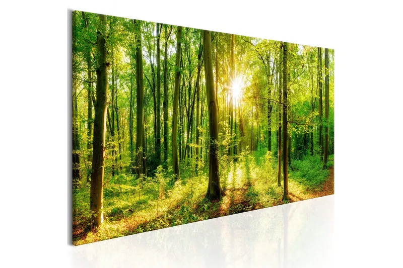 Tavla Green Magic 150x50 - Artgeist sp. z o. o. — Artgeist sp. z o. o.