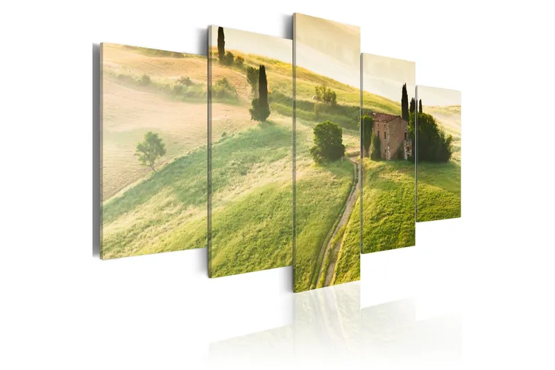 Tavla Green Tuscany 100x50 - Artgeist sp. z o. o. — Artgeist sp. z o. o.