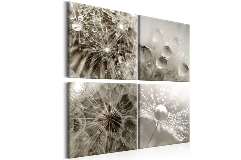 Tavla Grey Dandelion 60x60 - Artgeist sp. z o. o. — Artgeist sp. z o. o.