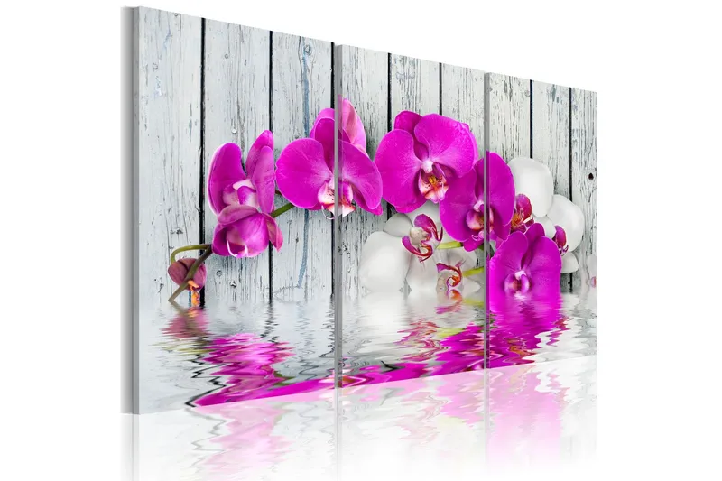 Tavla Harmony Orchid Triptych 120x80 - Artgeist sp. z o. o. — Artgeist sp. z o. o.