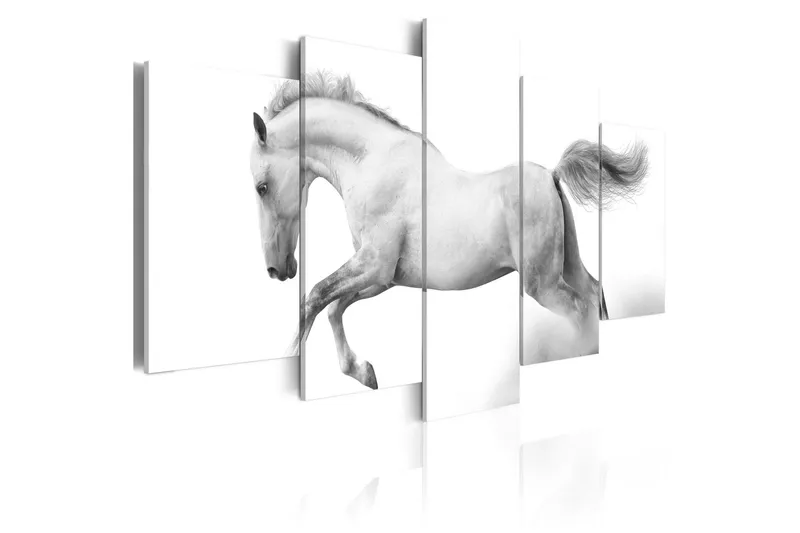 Tavla Horse- Passion And Freedom 100x50 - Artgeist sp. z o. o. — Artgeist sp. z o. o.