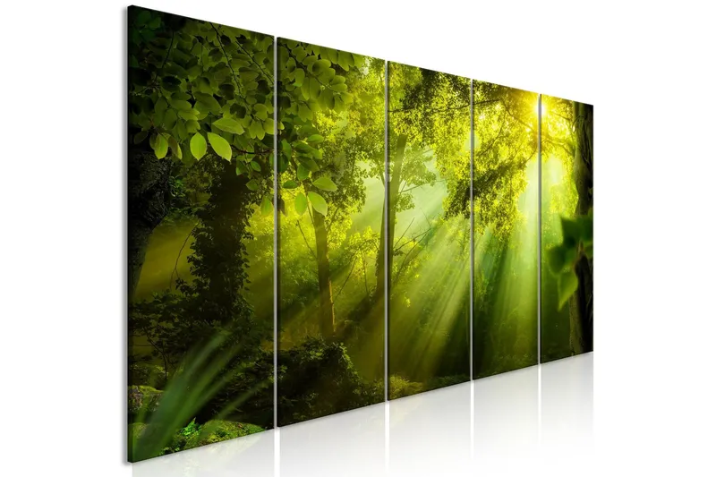 Tavla In The Sunshine 5 Parts Narrow 200x80 - Artgeist sp. z o. o. — Artgeist sp. z o. o.