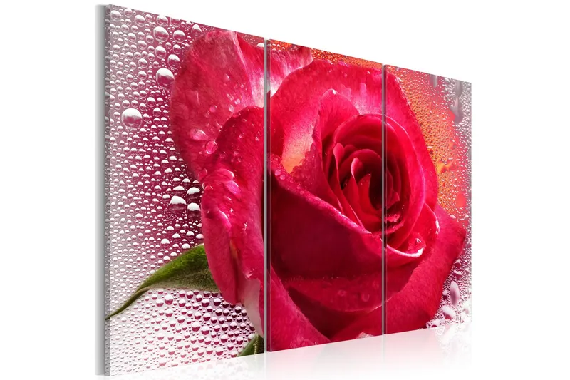 Tavla Lady Rose Triptych 60x40 - Artgeist sp. z o. o. — Artgeist sp. z o. o.