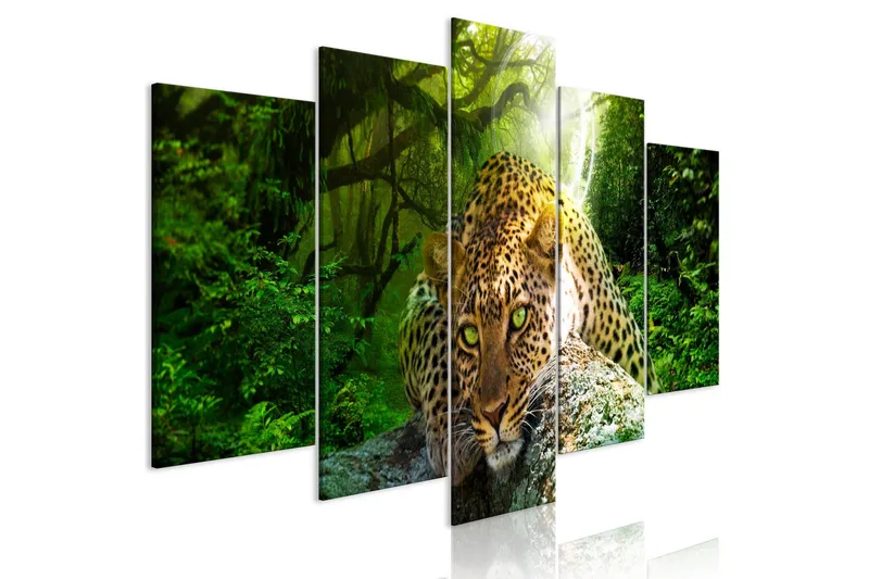 Tavla Leopard Lying 5 Parts Wide Green 200x100 - Artgeist sp. z o. o. — Artgeist sp. z o. o.