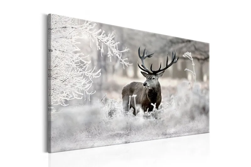 Tavla Lonely Deer 90x60 - Artgeist sp. z o. o. — Artgeist sp. z o. o.