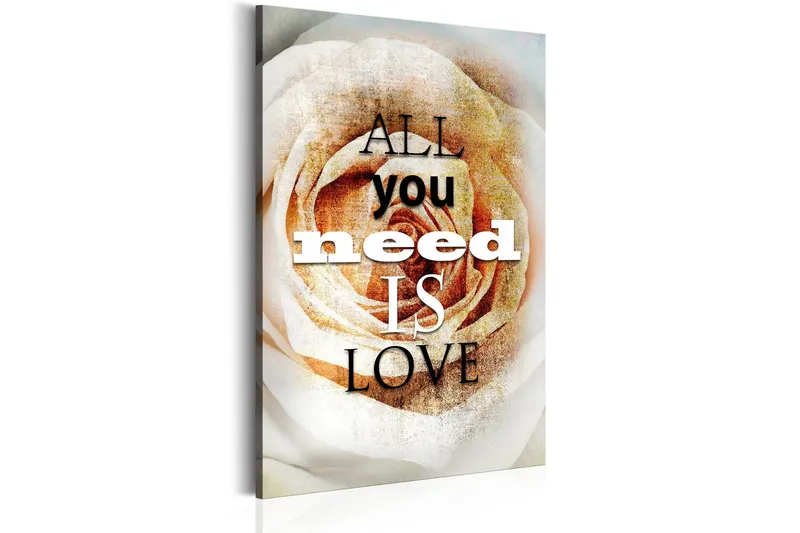 Tavla Love Rose 80x120