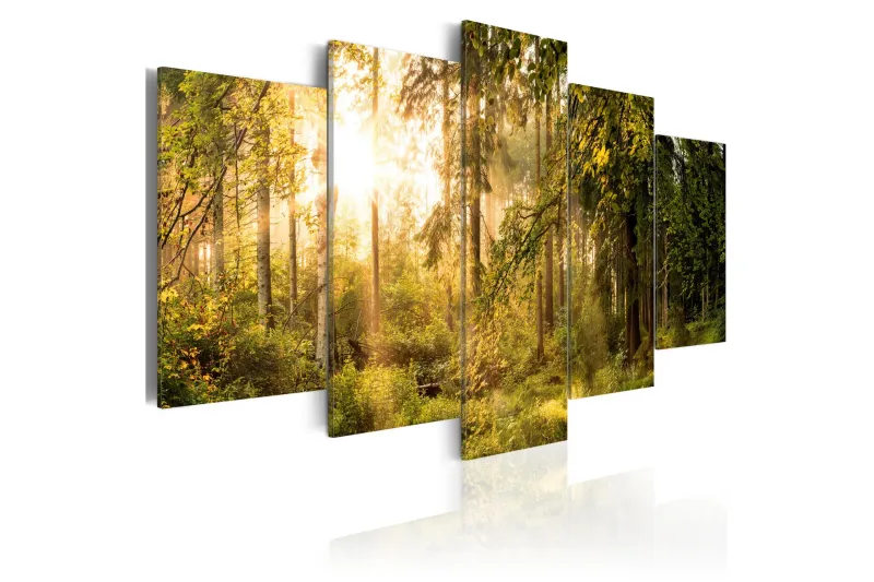 Tavla Magic Of Forest 100x50 - Artgeist sp. z o. o. — Artgeist sp. z o. o.