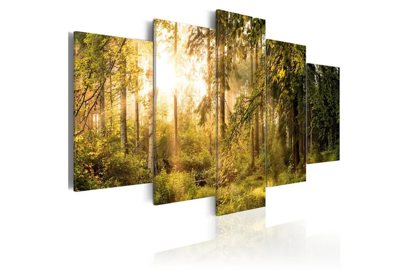 Tavla Magic Of Forest 200x100 - Artgeist sp. z o. o. — Artgeist sp. z o. o.