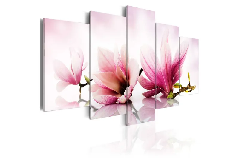 Tavla Magnolias Pink Flowers 200x100 - Artgeist sp. z o. o. — Artgeist sp. z o. o.