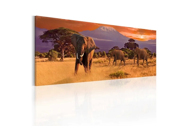 Tavla March Of African Elephants 120x40 - Artgeist sp. z o. o. — Artgeist sp. z o. o.