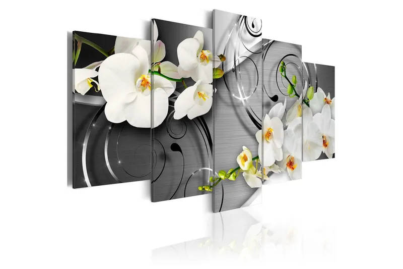 Tavla Milky Orchids 200x100 - Artgeist sp. z o. o. — Artgeist sp. z o. o.