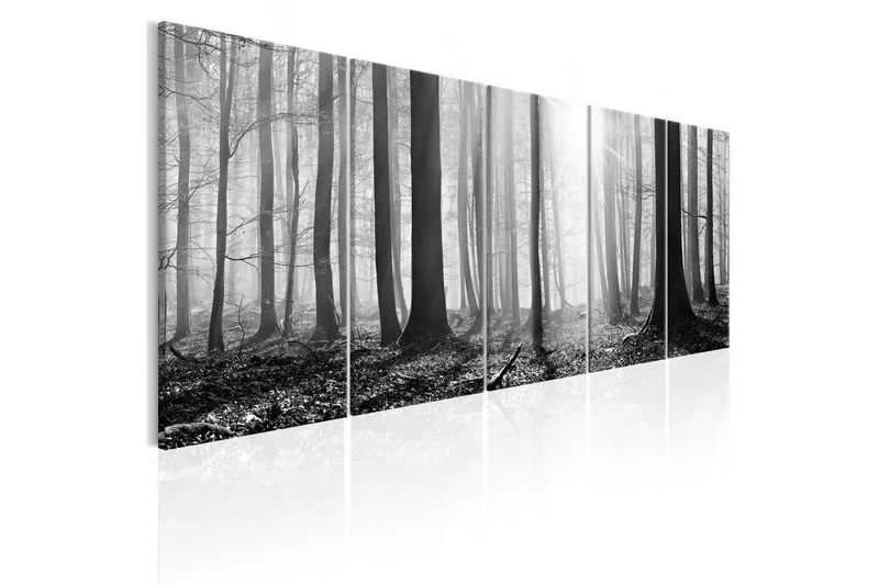 Tavla Monochrome Forest 225x90 - Artgeist sp. z o. o. — Artgeist sp. z o. o.