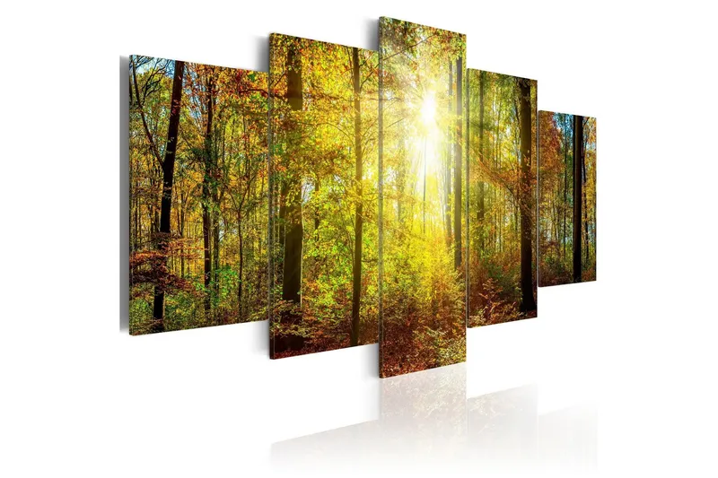 Tavla Mystical Forest 200x100 - Artgeist sp. z o. o. — Artgeist sp. z o. o.