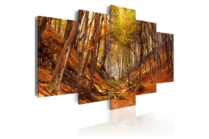 Tavla Orange Autumn 100x50 - Artgeist sp. z o. o. — Artgeist sp. z o. o.