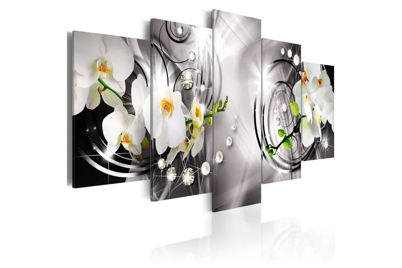 Tavla Orchid Pearls And Diamonds 100x50 - Artgeist sp. z o. o. — Artgeist sp. z o. o.