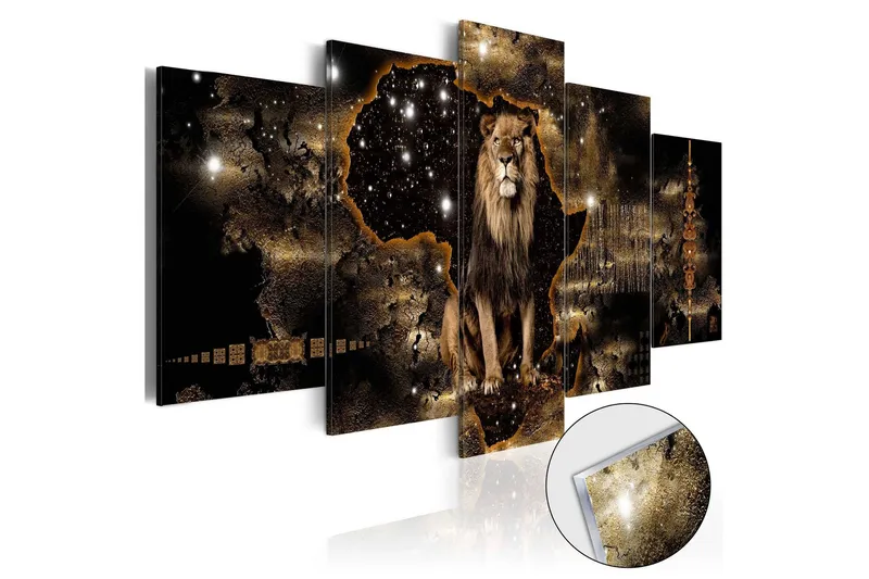 Tavla På Akryl Golden Lion 100x50 - Artgeist sp. z o. o. — Artgeist sp. z o. o.