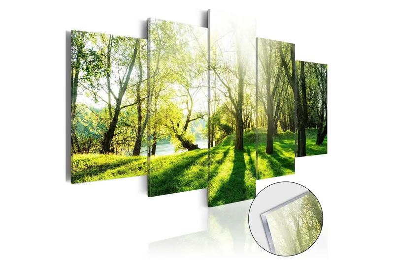 Tavla På Akryl Green Glade 100x50 - Artgeist sp. z o. o. — Artgeist sp. z o. o.