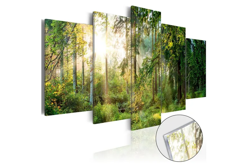 Tavla På Akryl Green Sanctuary 100x50 - Artgeist sp. z o. o. — Artgeist sp. z o. o.