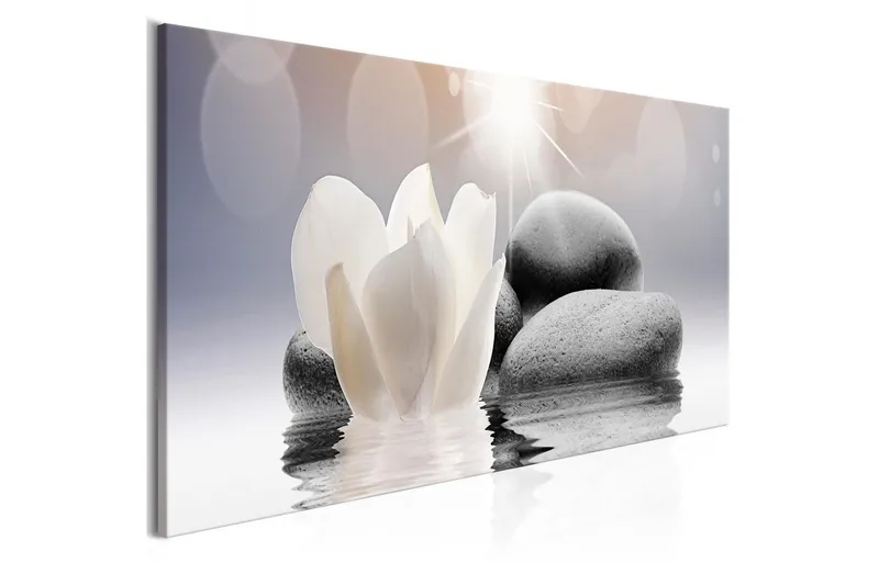 Tavla Pebbles In Water 1 Part Narrow 120x40 - Artgeist sp. z o. o. — Artgeist sp. z o. o.