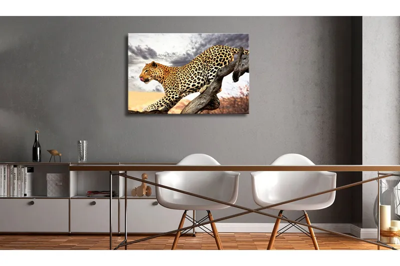 Tavla Predatory Stare 120x80 - Artgeist sp. z o. o. — Artgeist sp. z o. o.