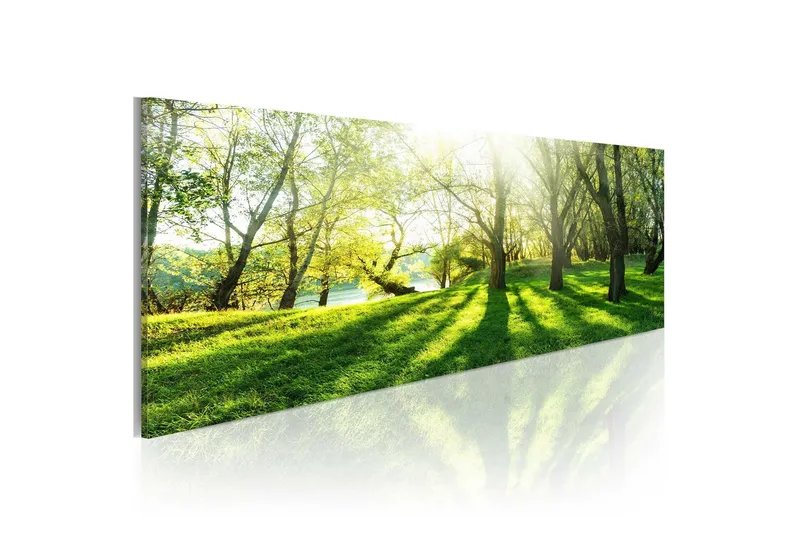 Tavla Rays Of Sunshine 135x45 - Artgeist sp. z o. o. — Artgeist sp. z o. o.