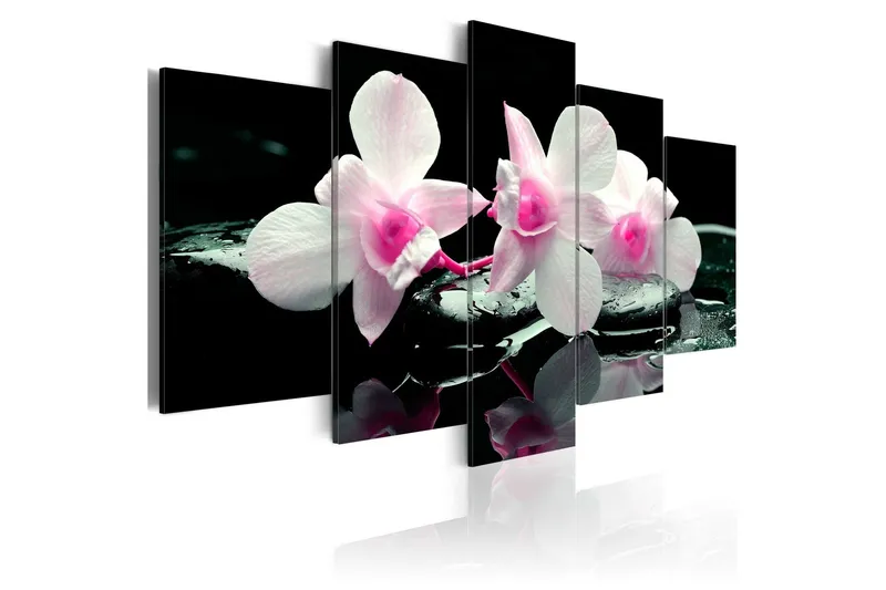 Tavla Rest Of Orchids 100x50 - Artgeist sp. z o. o. — Artgeist sp. z o. o.