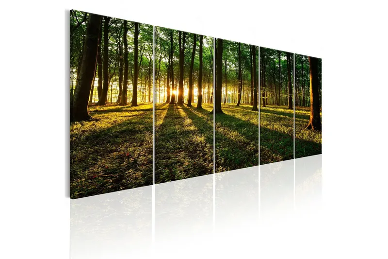 Tavla Shade Of Trees 200x80 - Artgeist sp. z o. o. — Artgeist sp. z o. o.