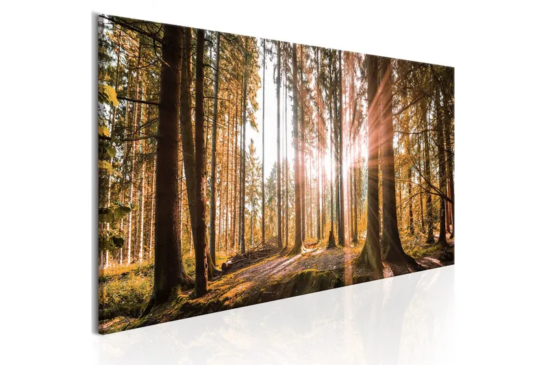 Tavla Small Natural Wonders 120x40 - Artgeist sp. z o. o. — Artgeist sp. z o. o.