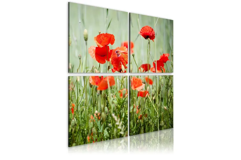 Tavla Springtime 40x40 - Artgeist sp. z o. o. — Artgeist sp. z o. o.