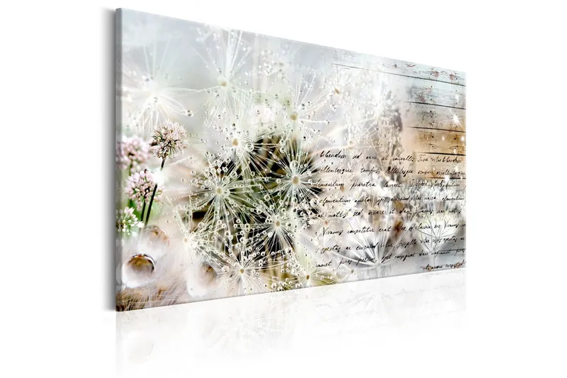 Tavla Starry Dandelions 120x80 - Artgeist sp. z o. o. (Art.nr 324641) — Artgeist sp. z o. o.