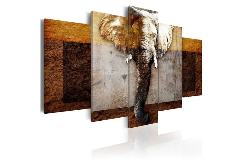 Tavla Strength Of Africa 100x50 - Artgeist sp. z o. o. — Artgeist sp. z o. o.