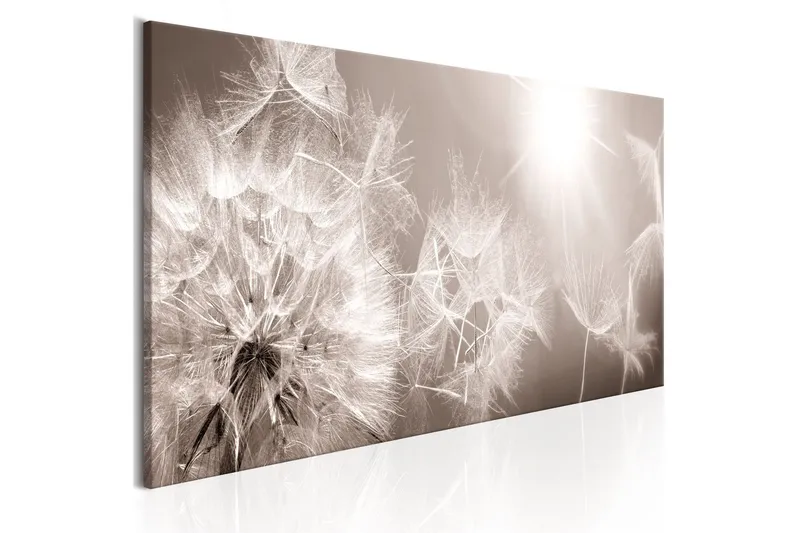 Tavla Summer Dandelions 150x50 - Artgeist sp. z o. o. — Artgeist sp. z o. o.