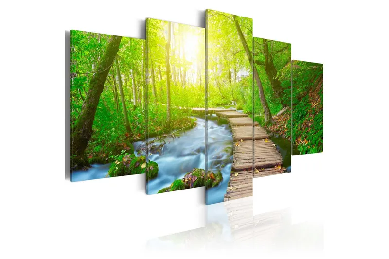 Tavla Sunny Forest 100x50 - Artgeist sp. z o. o. — Artgeist sp. z o. o.
