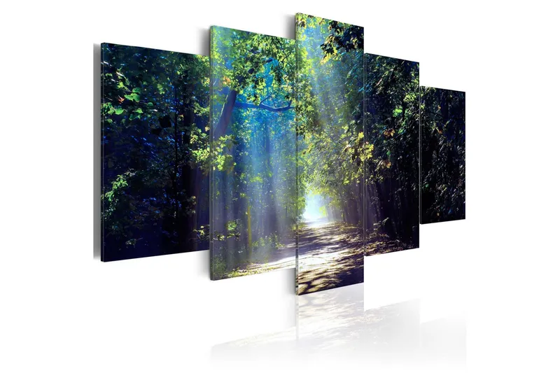 Tavla Sunny Forest Path 200x100 - Artgeist sp. z o. o. — Artgeist sp. z o. o.
