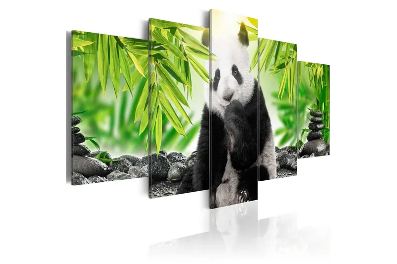 Tavla Sweet Little Panda 200x100 - Artgeist sp. z o. o. — Artgeist sp. z o. o.