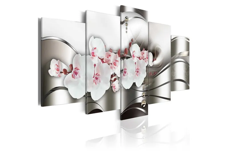 Tavla The Beauty Of Orchids 100x50 - Artgeist sp. z o. o. — Artgeist sp. z o. o.