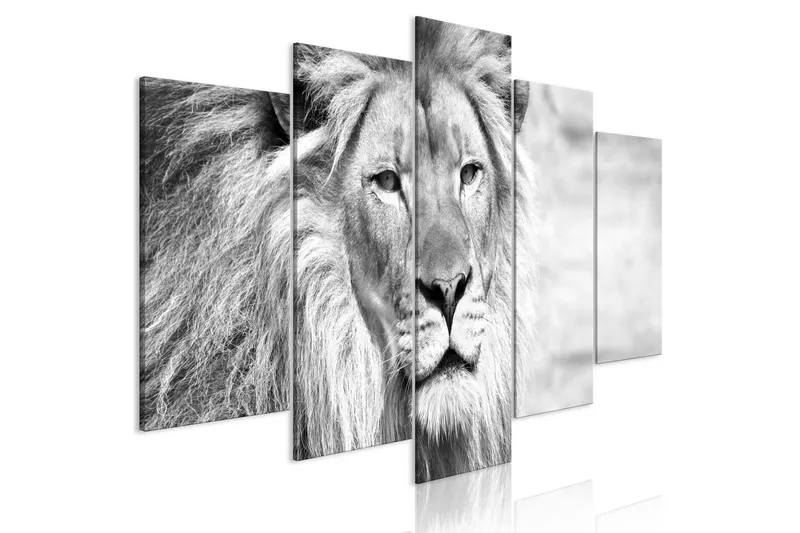 Tavla The King Of Beasts 5 Parts Wide B&W 100x50 - Artgeist sp. z o. o. — Artgeist sp. z o. o.