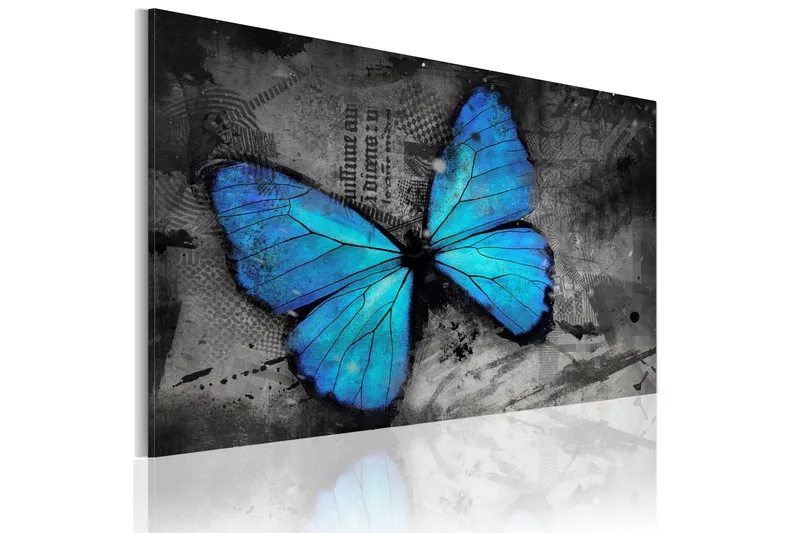 Tavla The study of butterfly 120x80 - Artgeist sp. z o. o. — Artgeist sp. z o. o.