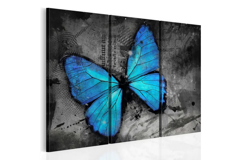 Tavla The study of butterfly triptych 90x60 - Artgeist sp. z o. o. — Artgeist sp. z o. o.