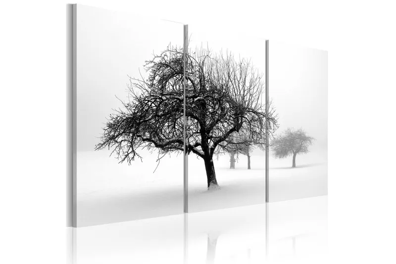Tavla Trees submerged in white 90x60 - Artgeist sp. z o. o. — Artgeist sp. z o. o.