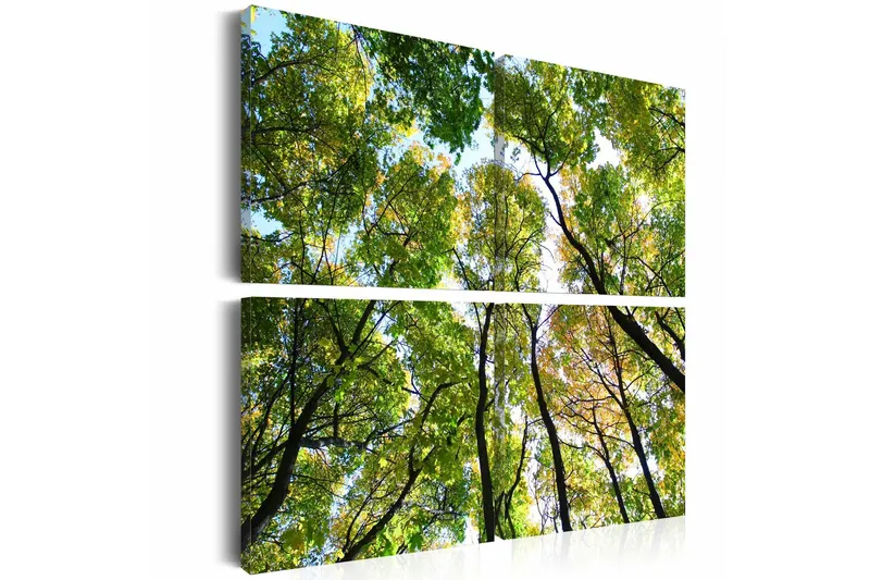 Tavla Treetops 40x40 - Artgeist sp. z o. o. — Artgeist sp. z o. o.