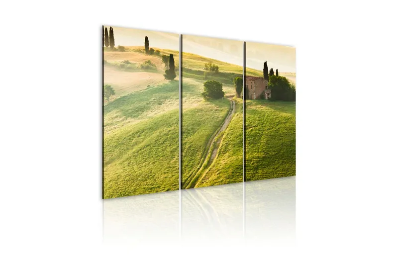 Tavla Under The Tuscan Sun 60x40 - Artgeist sp. z o. o. — Artgeist sp. z o. o.