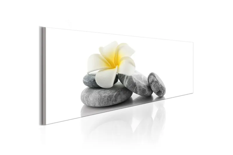 Tavla White Lotus 135x45 - Artgeist sp. z o. o. — Artgeist sp. z o. o.