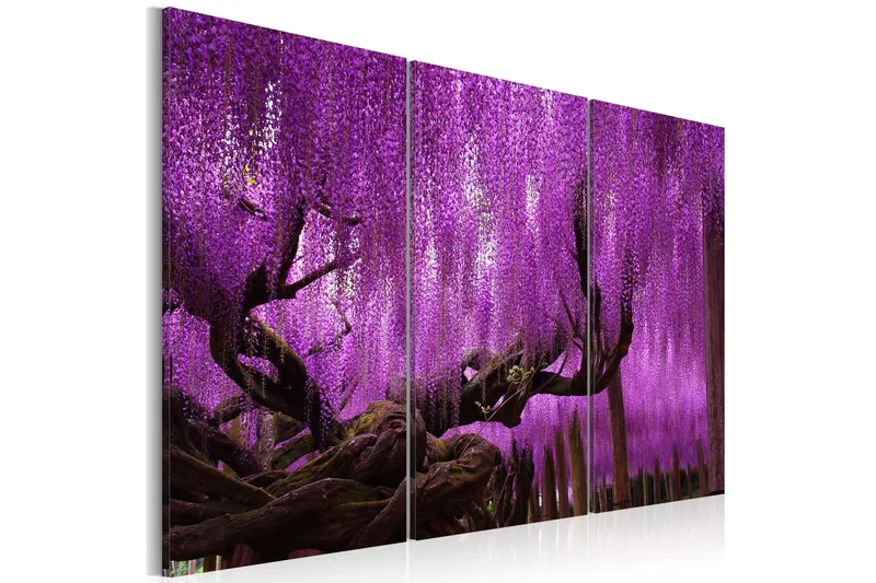Tavla Wisteria 90x60 - Artgeist sp. z o. o. — Artgeist sp. z o. o.