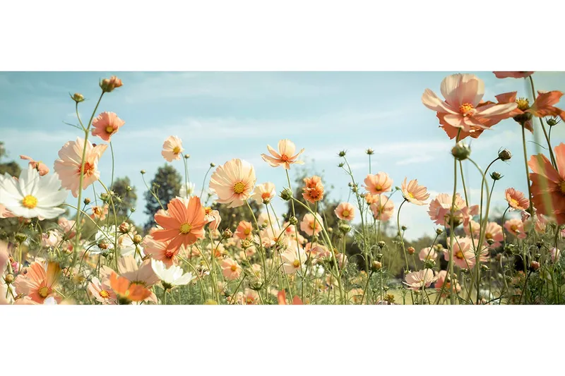Tavla Yellow Meadow - 50x125 cm — 50x125 cm