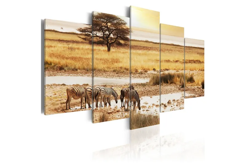 Tavla Zebras On A Savannah 200x100 - Artgeist sp. z o. o. — Artgeist sp. z o. o.