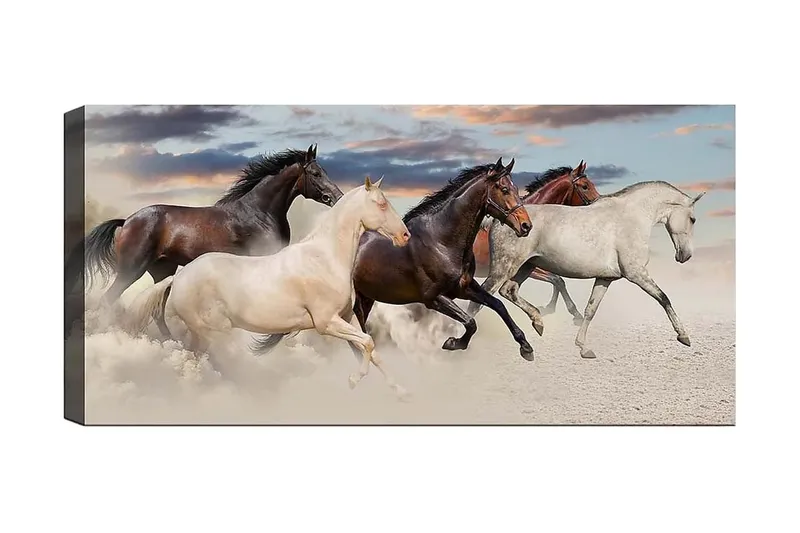Canvastavla YTY Animals Flerfärgad - 120x50 cm (Art.nr 1184909) — 120x50 cm